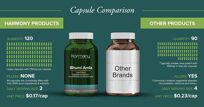 Bhumi Amla Supreme – Chanca Piedra – Herbal Supplement for Liver, Gallbladder and Kidney Support