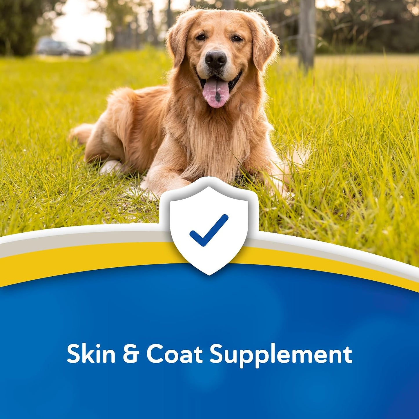 Doc Roy’s Derma Coat Plus Dog Supplement, Supports Healthy Skin, Coat & Nails, with Omega-3-6-9 Fatty Acids, Biotin & Antioxidants, 60 Chews for Medium and Large Dogs - görsel 4
