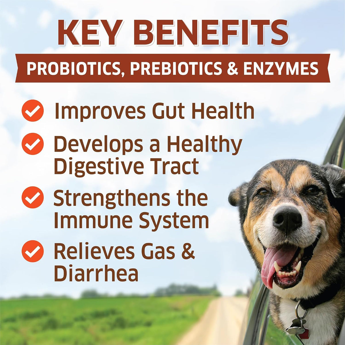 fur belly Probiotics for Dogs – Digestive, Allergy and Immune Support Chews (120 Chews) - görsel 2