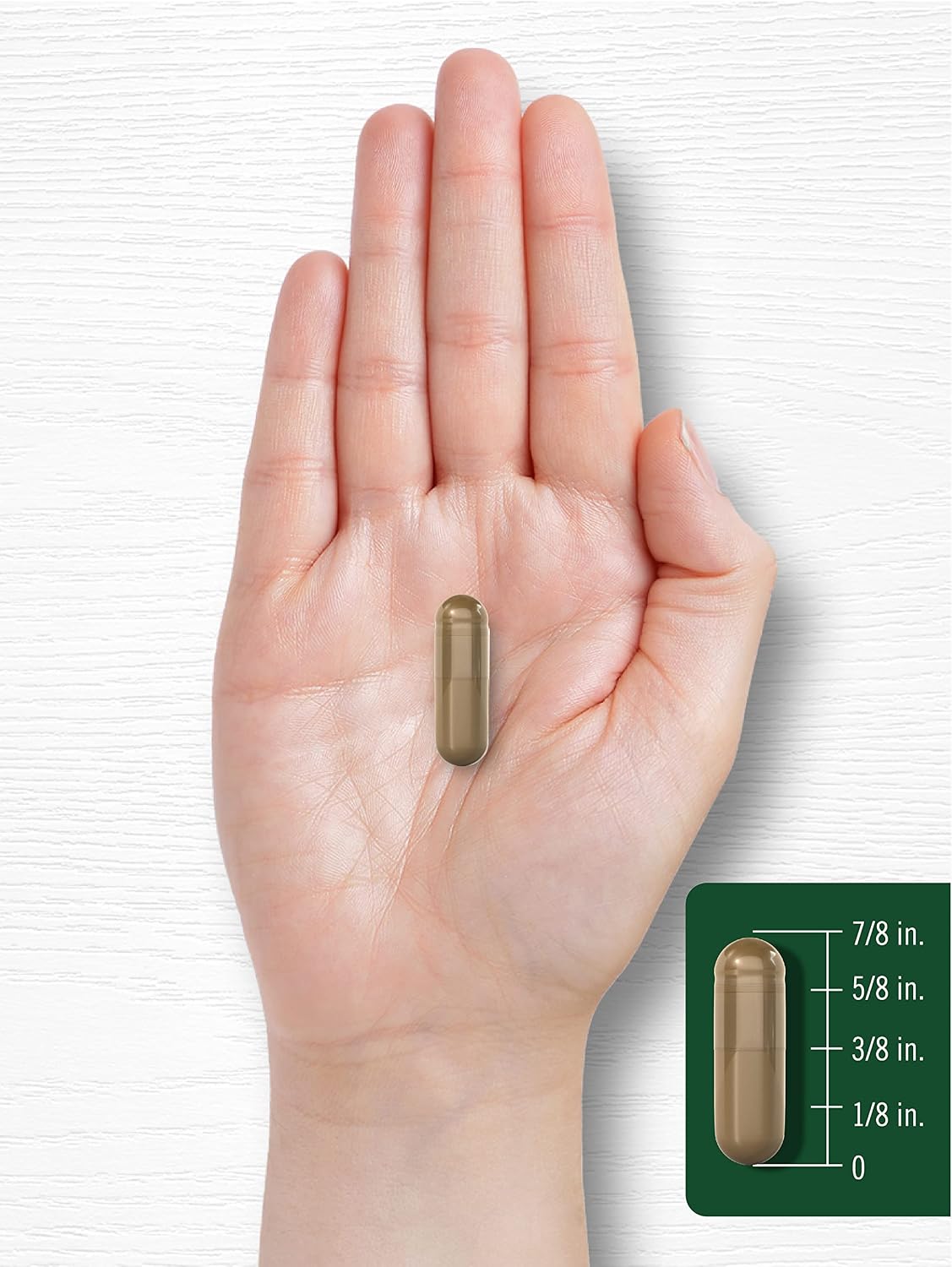 Carlyle Fennel Seed 480mg | 200 Capsules | Herbal Supplement | Non-GMO - görsel 7