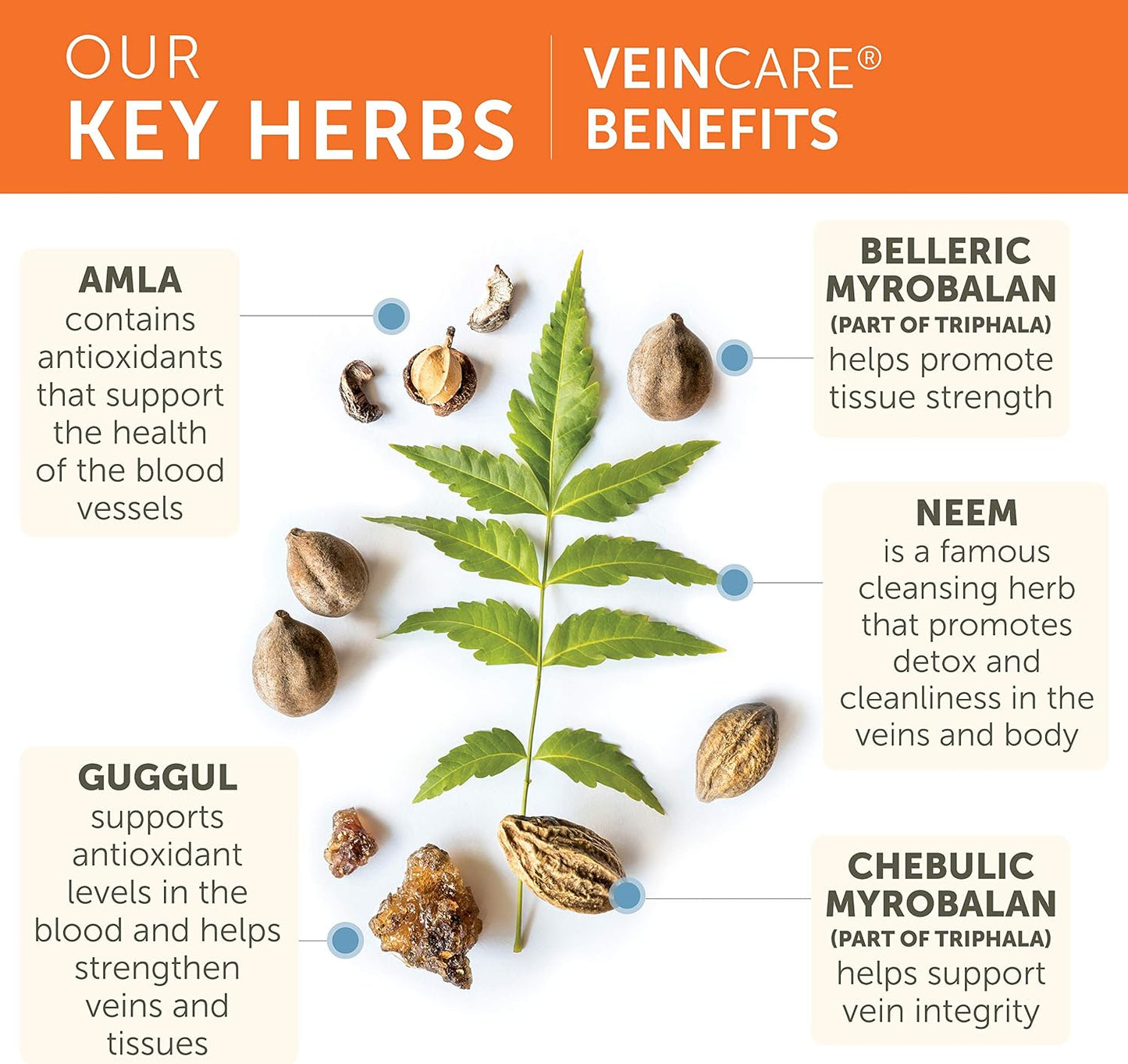 Himalaya VeinCare - Herbal Vein Support Supplement for Circulation and Rectal Comfort - görsel 4