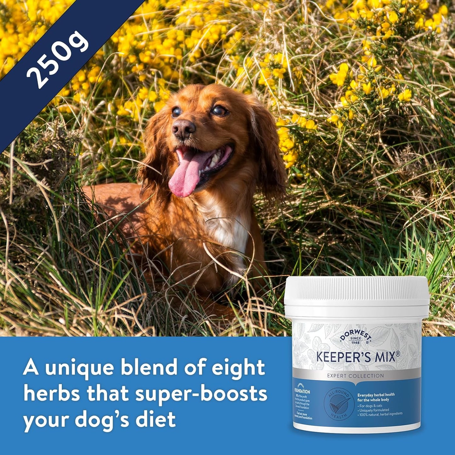 Dorwest Keeper's Mix Pet Supplement – Herbal Blend for Dogs and Cats - görsel 5