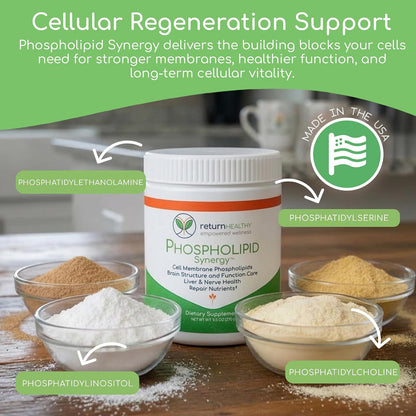 Return Healthy Phospholipid Synergy Powder - Antioxidant Food Supplement for Cellular Repair, Brain Health & Liver Detox (270g)