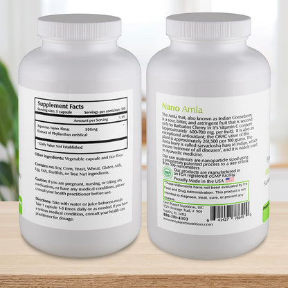 One Planet Nutrition Nano Amla 500 mg Vegetable Capsules – Amla Fruit Extract for Immune Function and Collagen Formation, 120 Servings