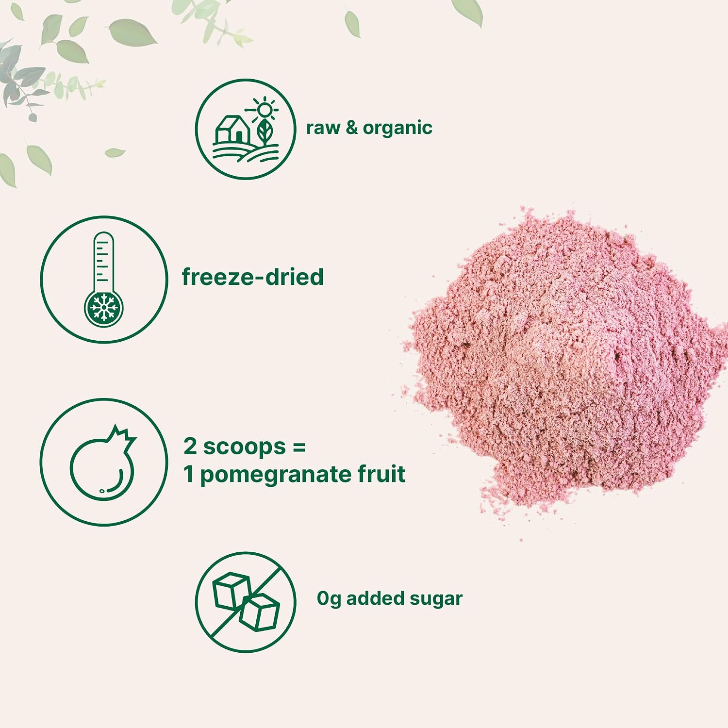Micro Ingredients Organic Pomegranate Juice Powder, 454 g (1 lb) | Freeze Dried & Cold Pressed | No Sugar & Additives | Non-GMO & Vegan Friendly - görsel 3