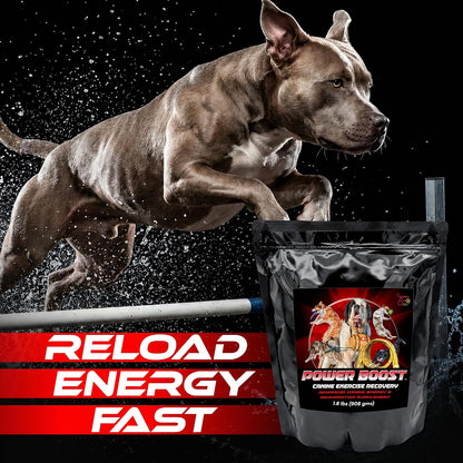 Power Boost Canine Performance Formula – Low Fat, High Carb Rehydration & Recovery Supplement for Working & Sporting Dogs