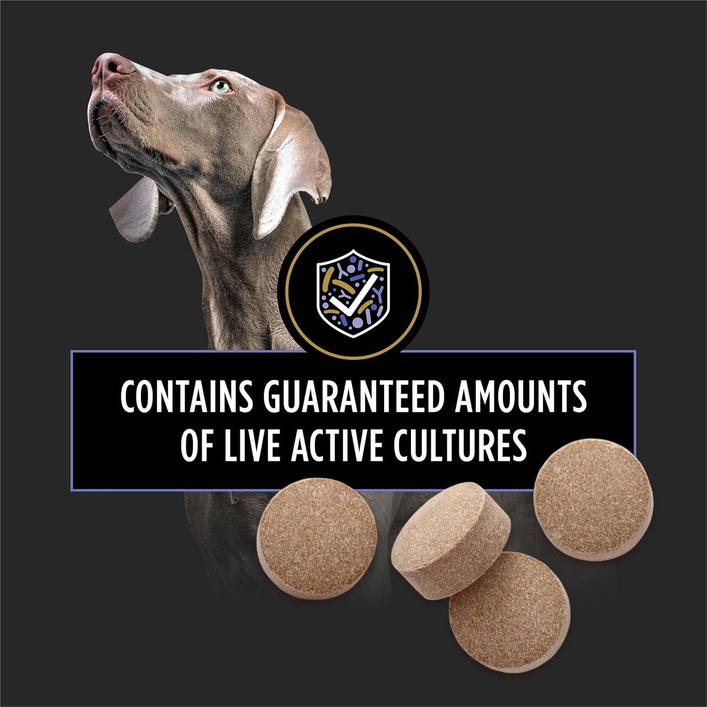 FortiFlora Canine Probiotic Chewable Tablets – Digestive and Immune Support, 90 Tablets - görsel 4