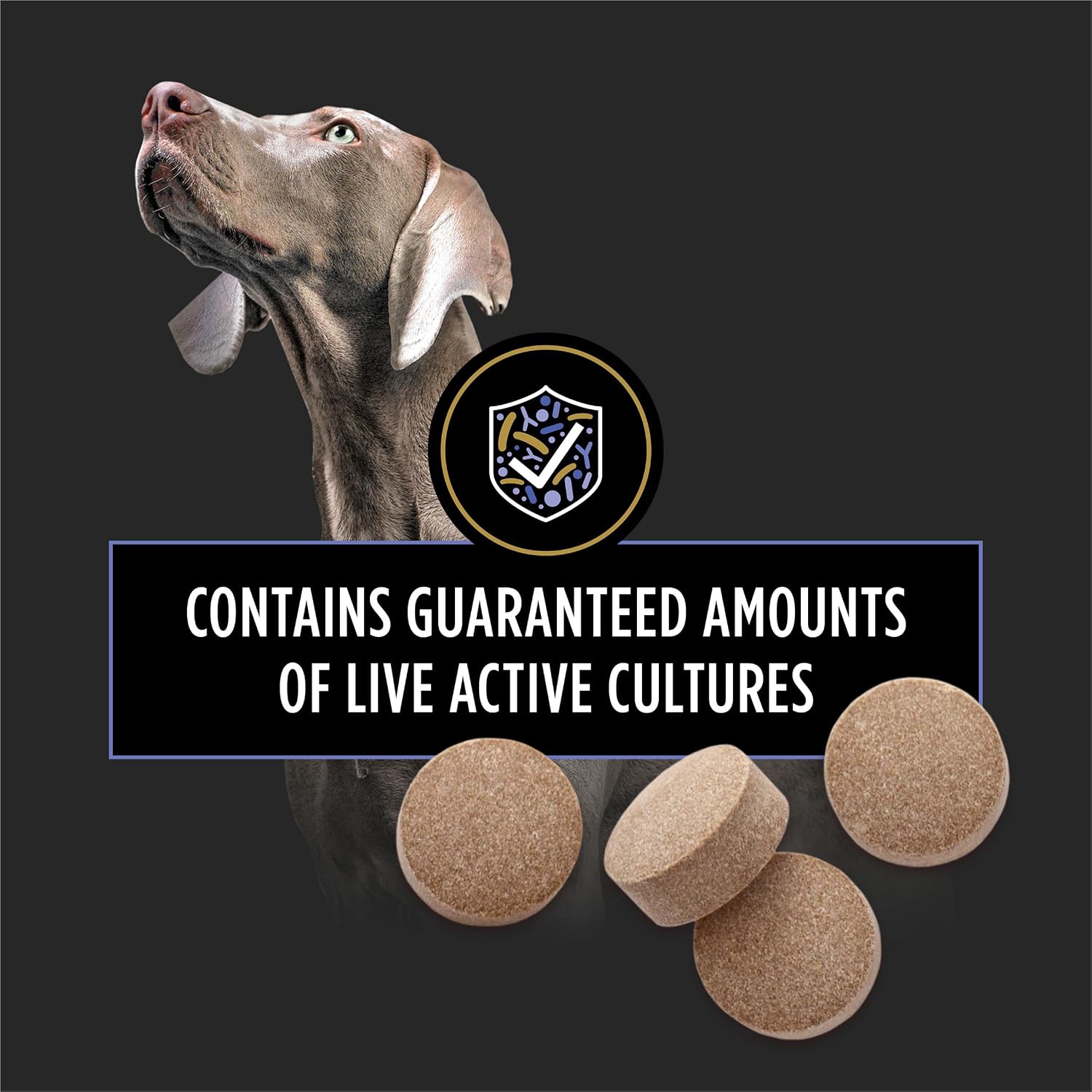 FortiFlora Canine Probiotic Chewable Tablets – Digestive and Immune Support, 90 Tablets - görsel 4