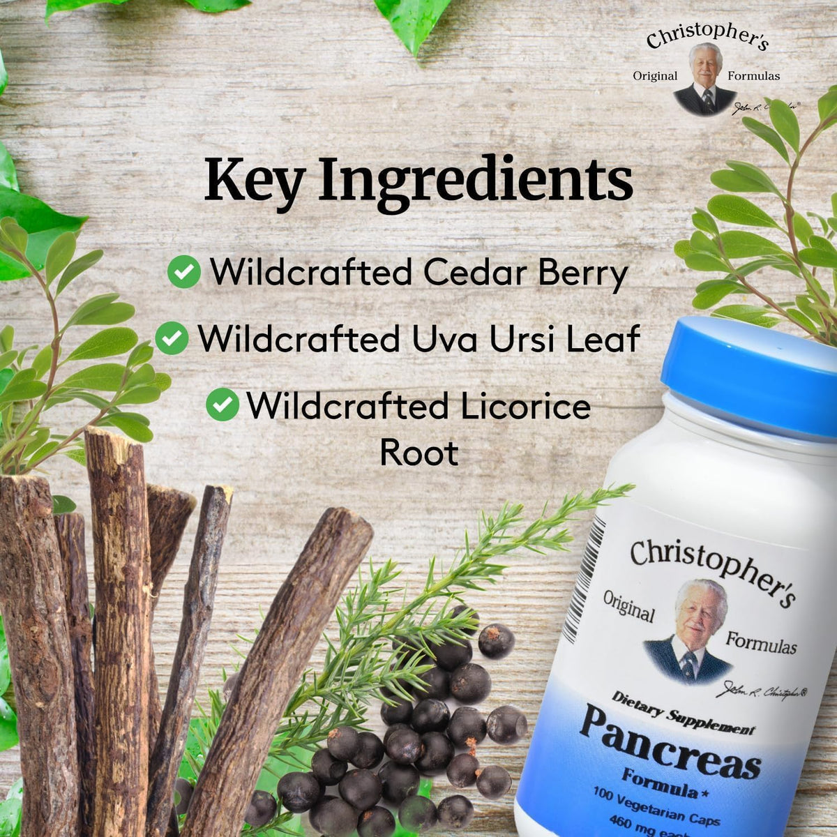 Dr. Christopher's Formulae Pancreas Formula, 100 Vegetable Capsules - görsel 4