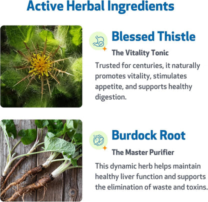 Pet Wellbeing Life Gold for Dogs – Supports Detoxification & Immune System Health with Astragalus & Sheep Sorrel – NASC Certified & Vet-Formulated – 118 ml Liquid Formula