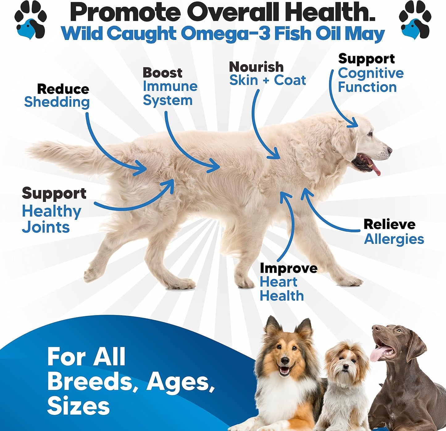 Planopaws Omega-3 Fish Oil for Dogs – Wild-Caught Liquid Fish Oil Supplement - görsel 2