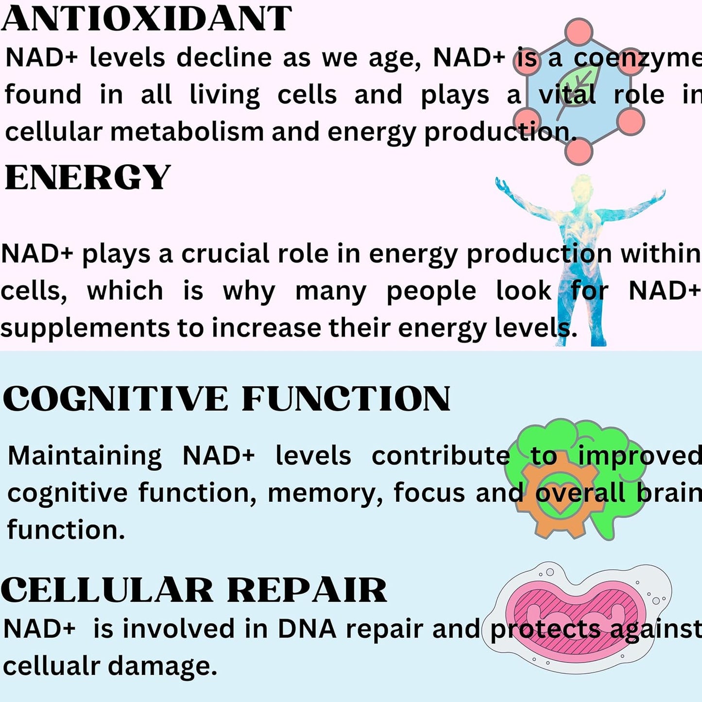 Nikoni Liposomal NAD+ 2000 mg with TMG and Pterostilbene – Healthy Ageing Support – 240 Soft gel capsules - görsel 7