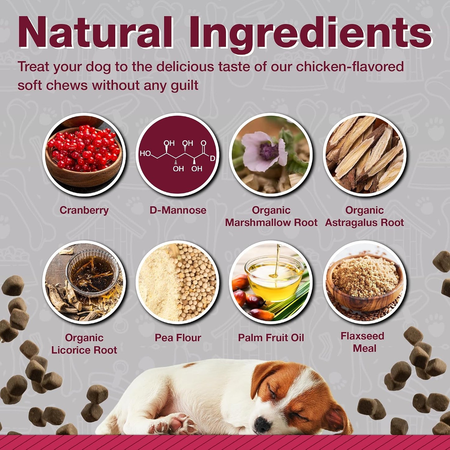 Pawlife Cranberry Supplements for Dogs | Urinary Tract and Bladder Support | D-Mannose and Antioxidants | 120 Veterinarian-Formulated Soft Chews - görsel 4