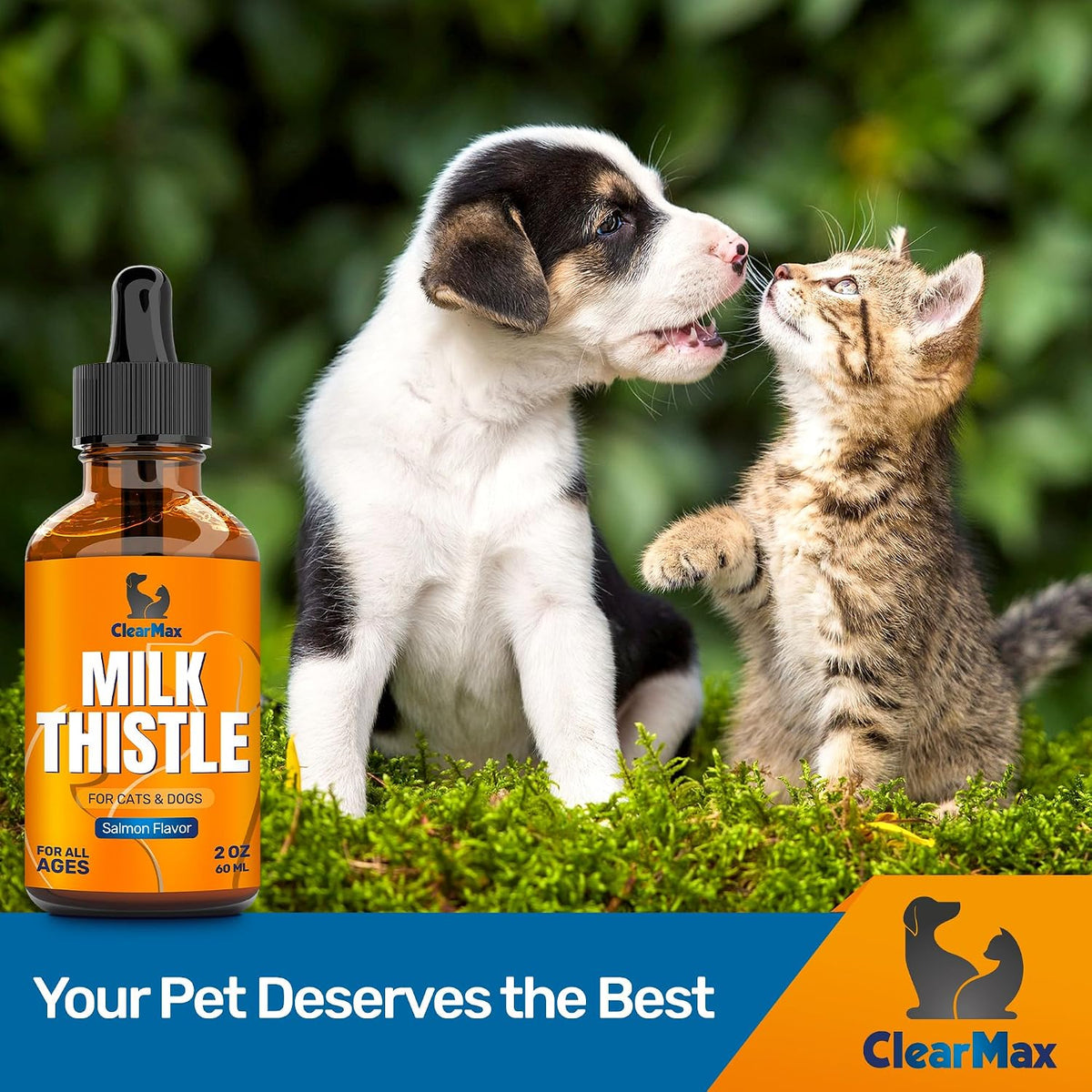 Milk Thistle for Dogs – Liver & Kidney Support for Large & Small Pets – Milk Thistle for Cats to Care for Digestion – Vet-Approved Liquid Formula with Salmon Flavour – GMO Free – 60 ml Bottle - görsel 8