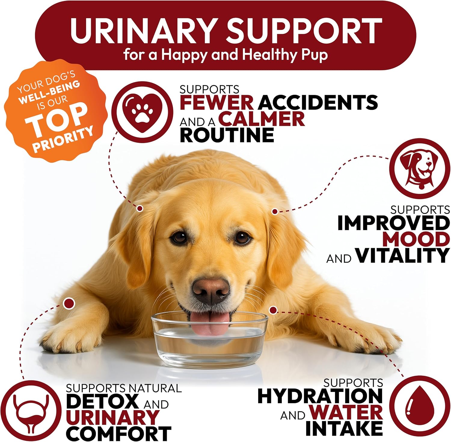 Petsology Dog UTI Treatment - 170 Cranberry Chews for Dogs - Urinary & Bladder Health Multivitamin with D-Mannose - görsel 4