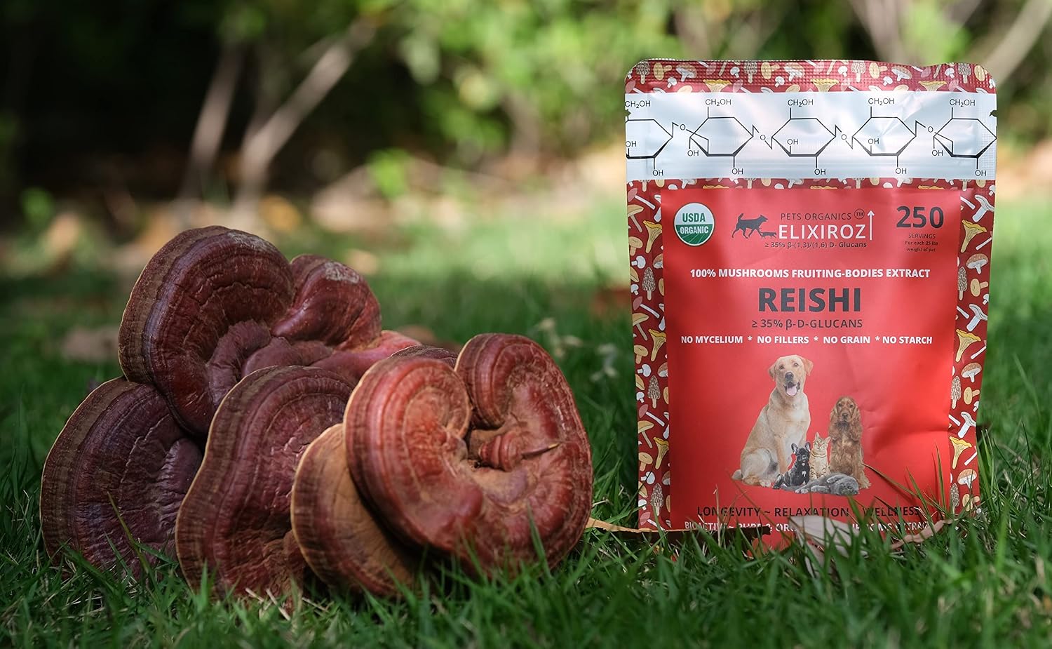 Reishi Mushroom Extract for Dogs & Cats – 35%+ Beta Glucans – Fruiting Body (8:1–12:1 Concentrated) – Immune Support, Calming & Relaxation – No Fillers – 250 Servings - görsel 3