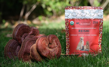 Reishi Mushroom Extract for Dogs & Cats – 35%+ Beta Glucans – Fruiting Body (8:1–12:1 Concentrated) – Immune Support, Calming & Relaxation – No Fillers – 250 Servings