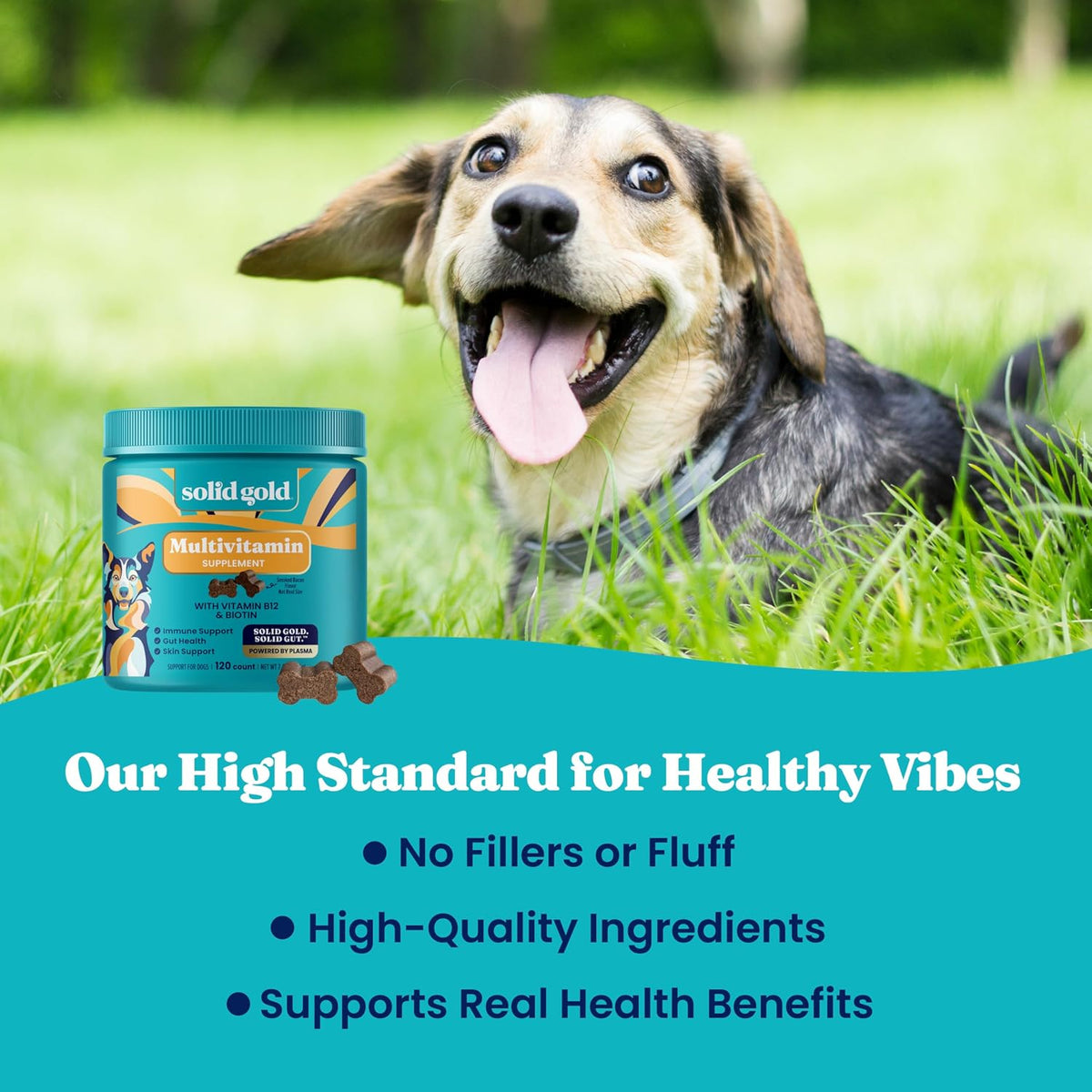 Solid Gold Dog Multivitamin - Soft Chews - All-in-One Support with Vitamin C, B12, Probiotics & Antioxidants - Bacon Flavour (120 Count) - görsel 6