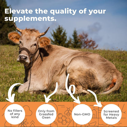Eleva Nutrition Grass-Fed Ox Bile 1000mg – Digestive Support Supplement (180 Capsules)