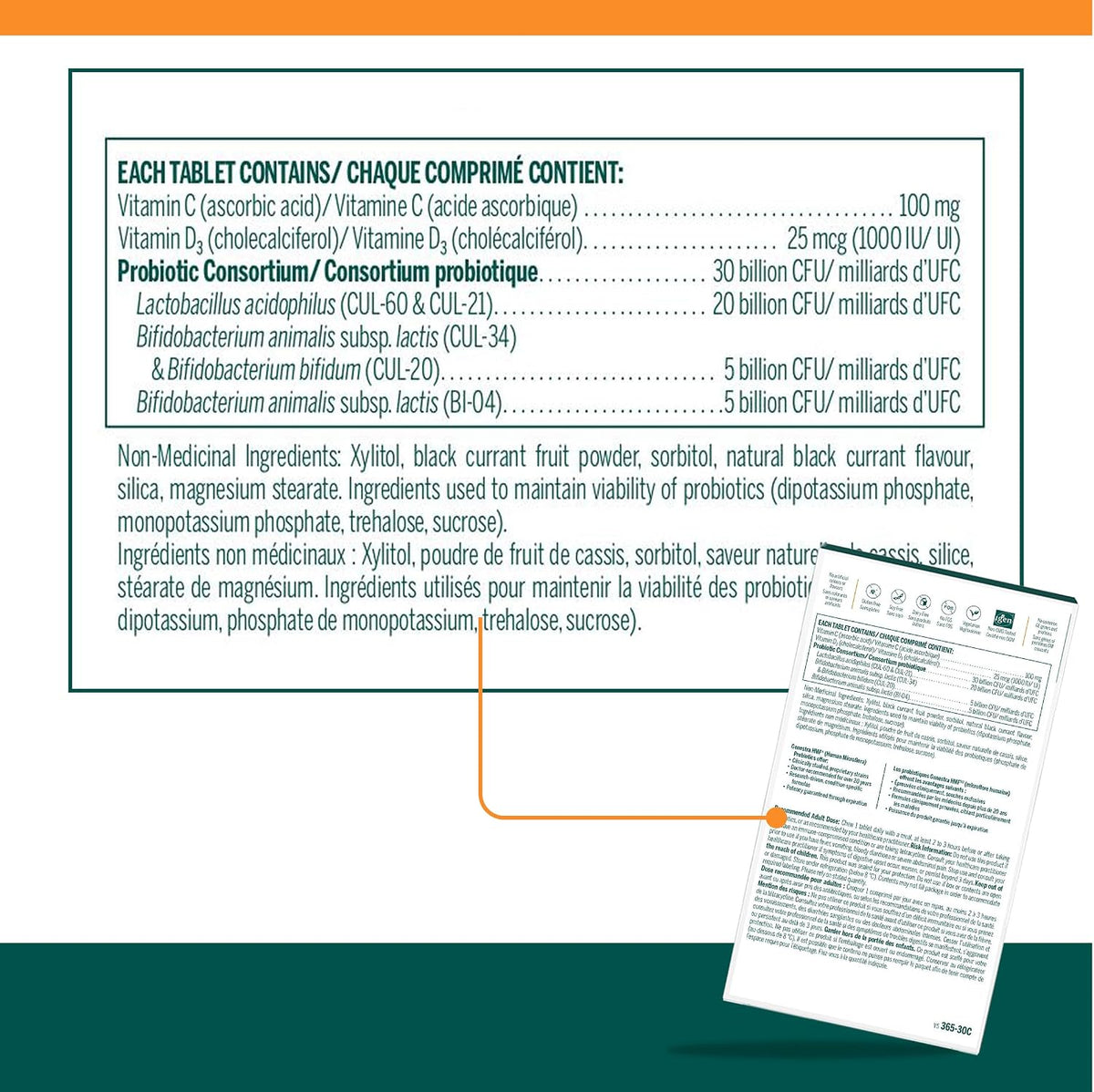 Genestra Brands HMF Immune Probiotic Supplement, 30 Chewable Tablets, Blackcurrant - görsel 2