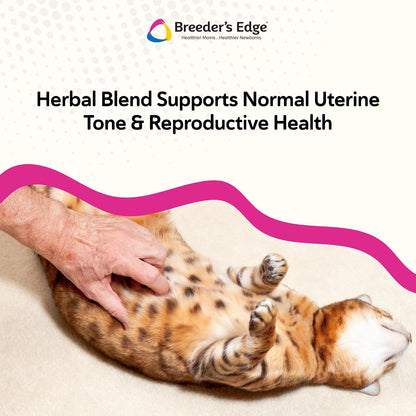 Breeder's Edge Oxy Mate Prenatal Supplements for Dogs & Cats, 60 Soft Chews