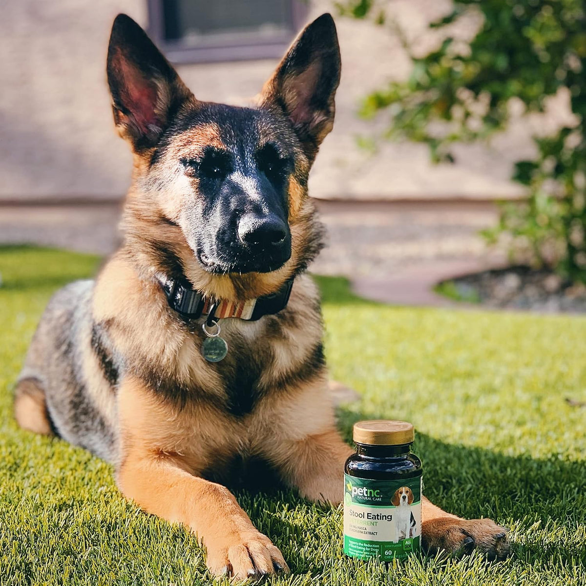 PetNC Natural Care Stool Eating Deterrent Chewables for Dogs, 60 Count - görsel 2