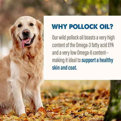 Grizzly Pollock Oil Dog Food Supplement, 1.9 L