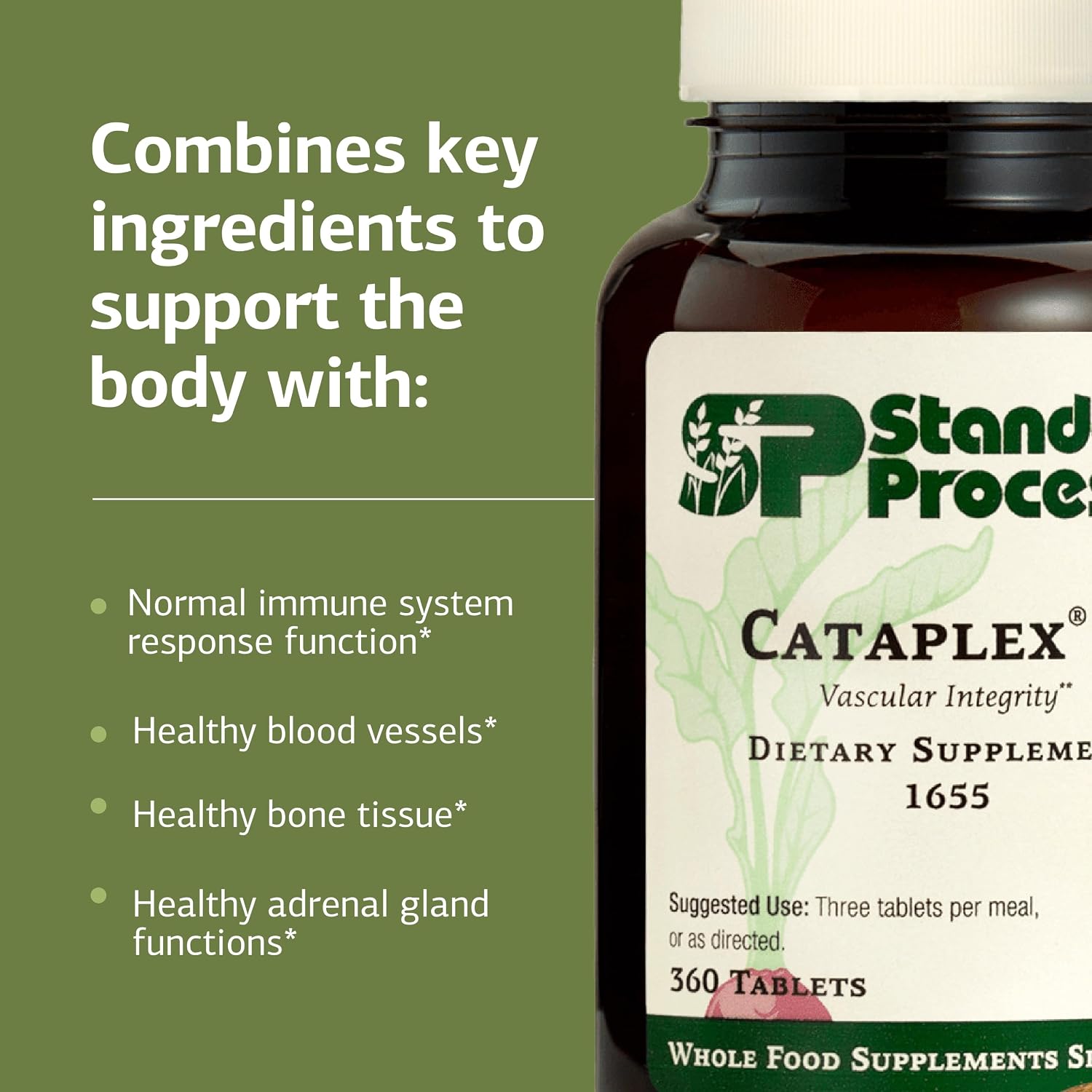 Standard Process Cataplex C - Supports Immune & Bone Health - Aids Healthy Skin & Connective Tissue - Includes Antioxidant Vitamin C - Non-Dairy & Non-Soy - 360 Tablets - görsel 4