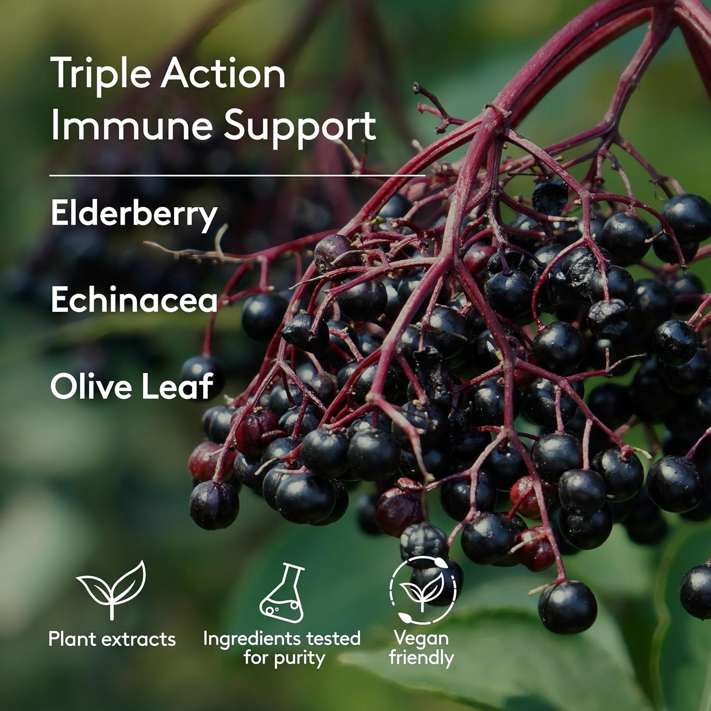 Harker Herbals Children's Immune & Wellbeing Herbal Syrup - Elderberry, Echinacea & Olive Leaf, 150 ml - görsel 7
