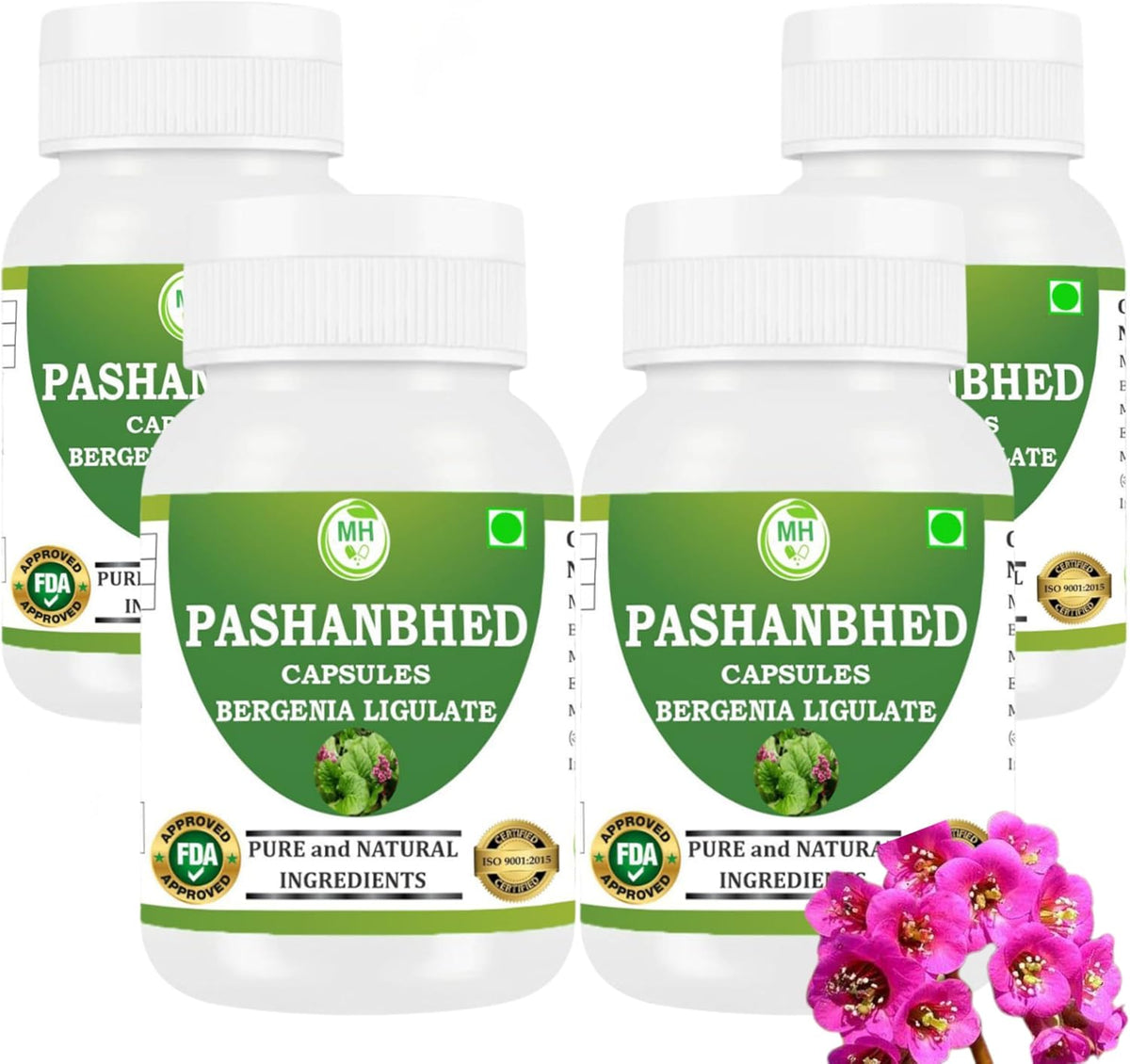 Pashanabheda (Bergenia ligulata) Powder Capsules - 500mg, 240 Vegetable Capsules - görsel 1
