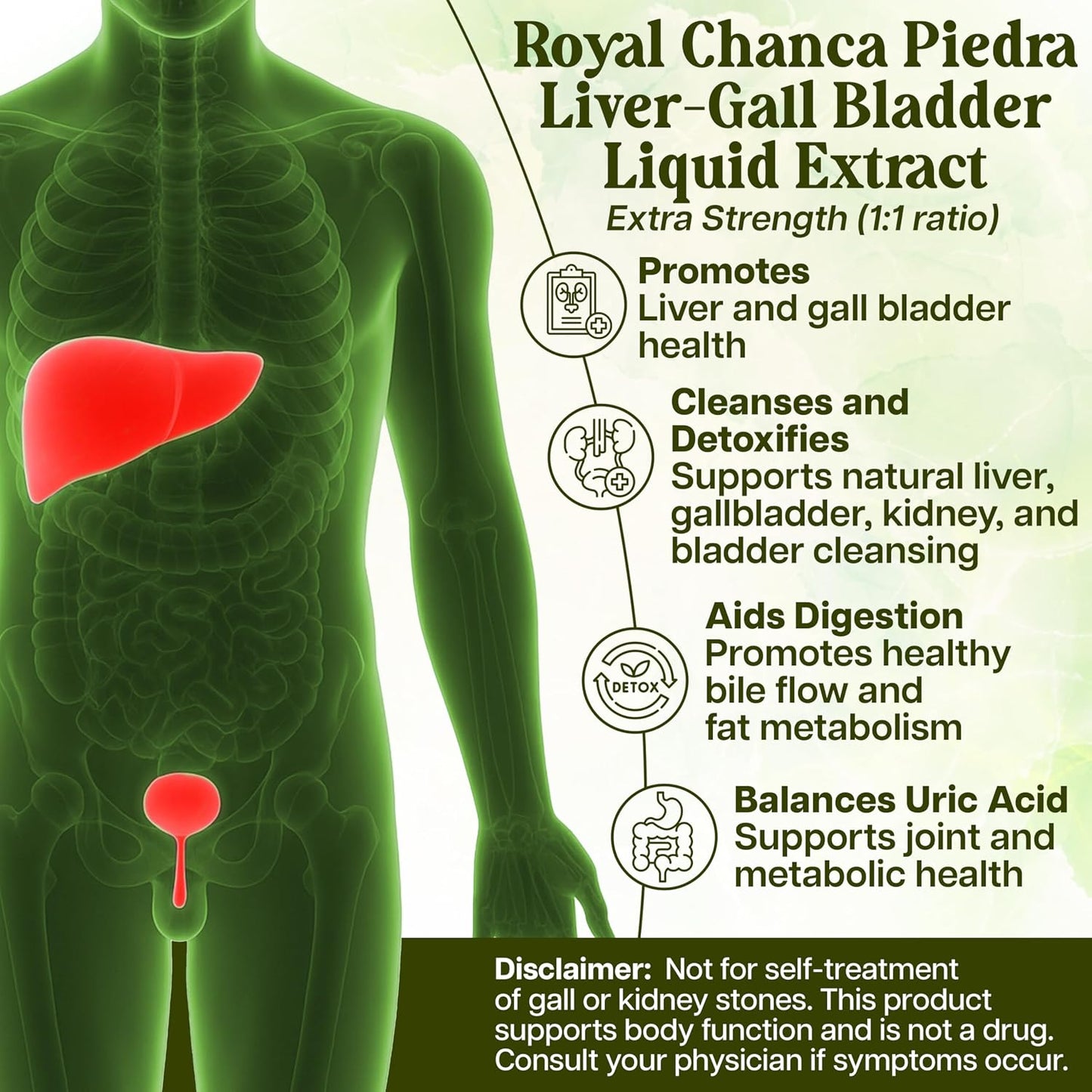 Whole World Botanicals Royal Chanca Piedra Liquid Extract – Liver and Gallbladder Support – 118 ml - görsel 4
