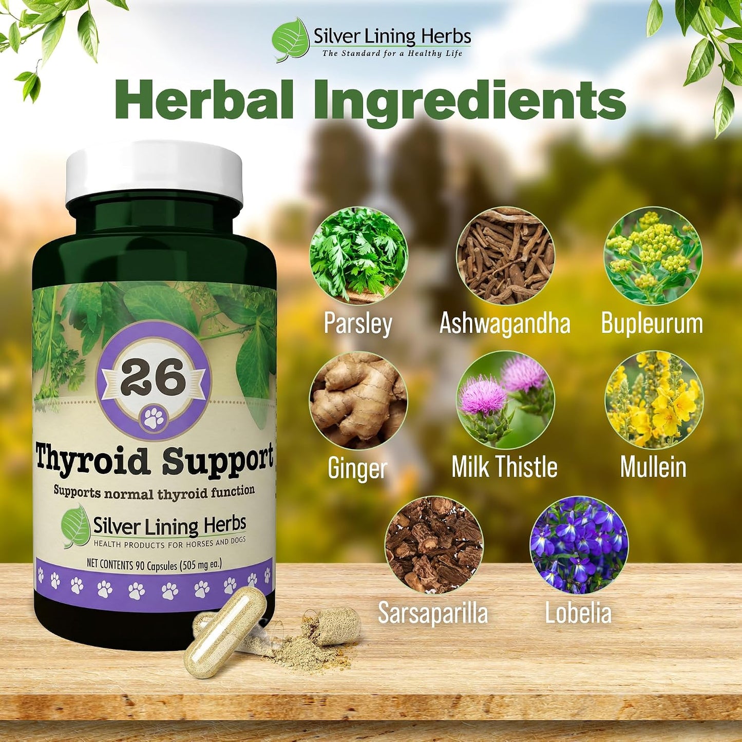 Silver Lining Herbs Thyroid Support for Dogs - 90 Capsules - görsel 2