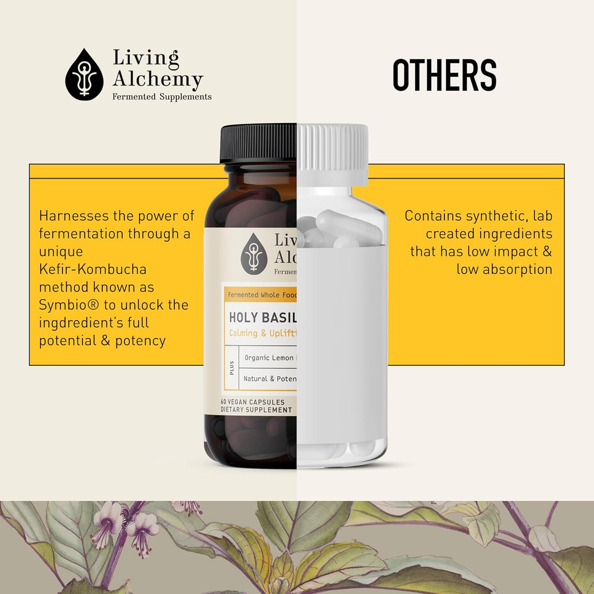 Living Alchemy Fermented Holy Basil with Lemon Balm - Vegan, Non-GMO - 60 Capsules - görsel 5