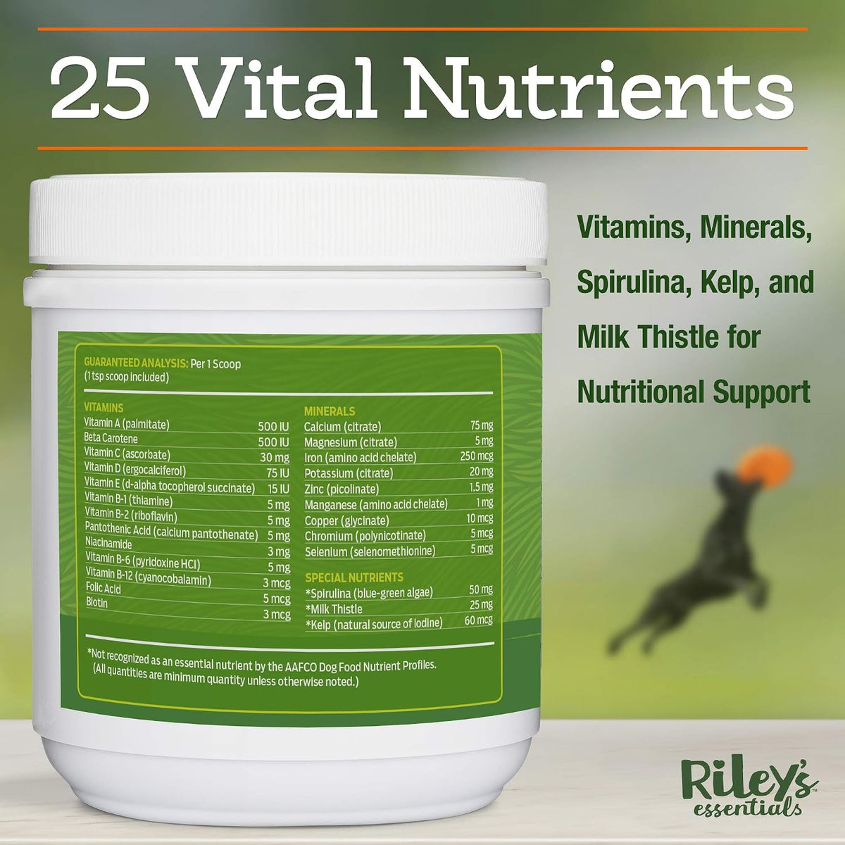 Riley's Multi-Essentials Multivitamin for Dogs - Vitamins, Minerals, Spirulina, Kelp, and Milk Thistle - Puppy and Senior Dog Vitamins - 227g Powder - görsel 2