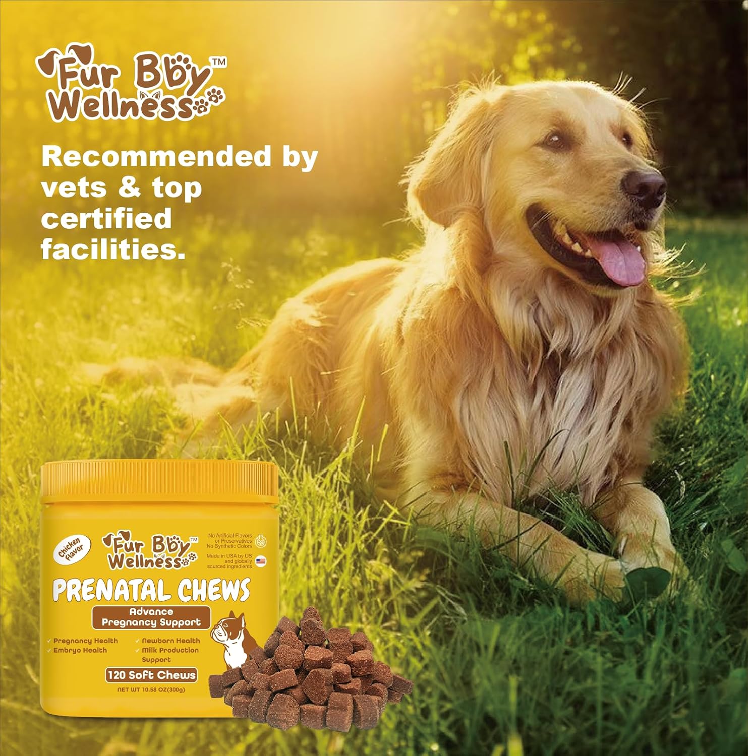 Dog Prenatal Vitamins for Pregnant & Nursing Dogs – Supports Healthy Pregnancy, Puppy Development & Lactation – with Folic Acid, Iron & Calcium – 120 Soft Chews - görsel 6