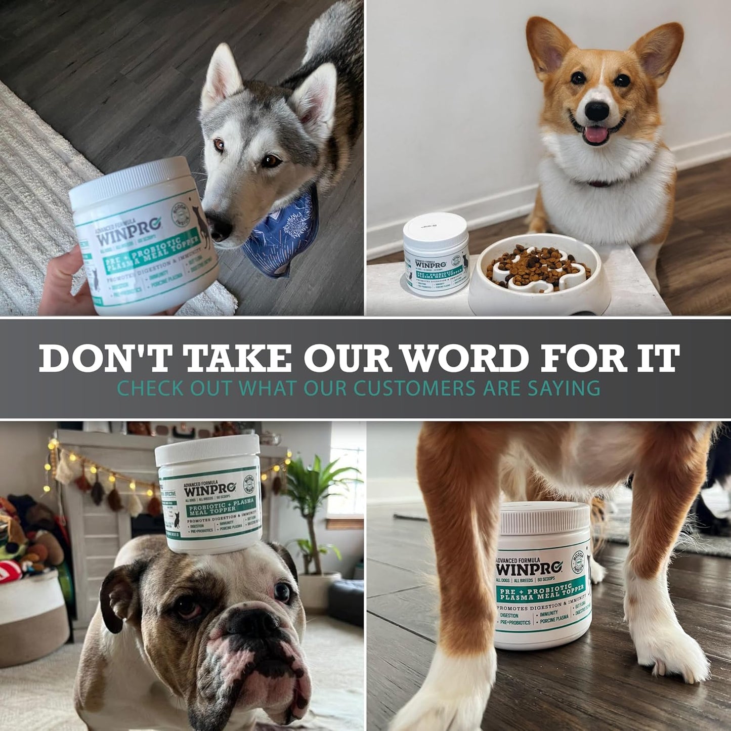 WINPRO Dog Probiotic Powder Meal Topper – Spray Dried Plasma with Prebiotics and Probiotics for Digestive Support and Gut Health, All Breeds, 60 Scoops - görsel 7