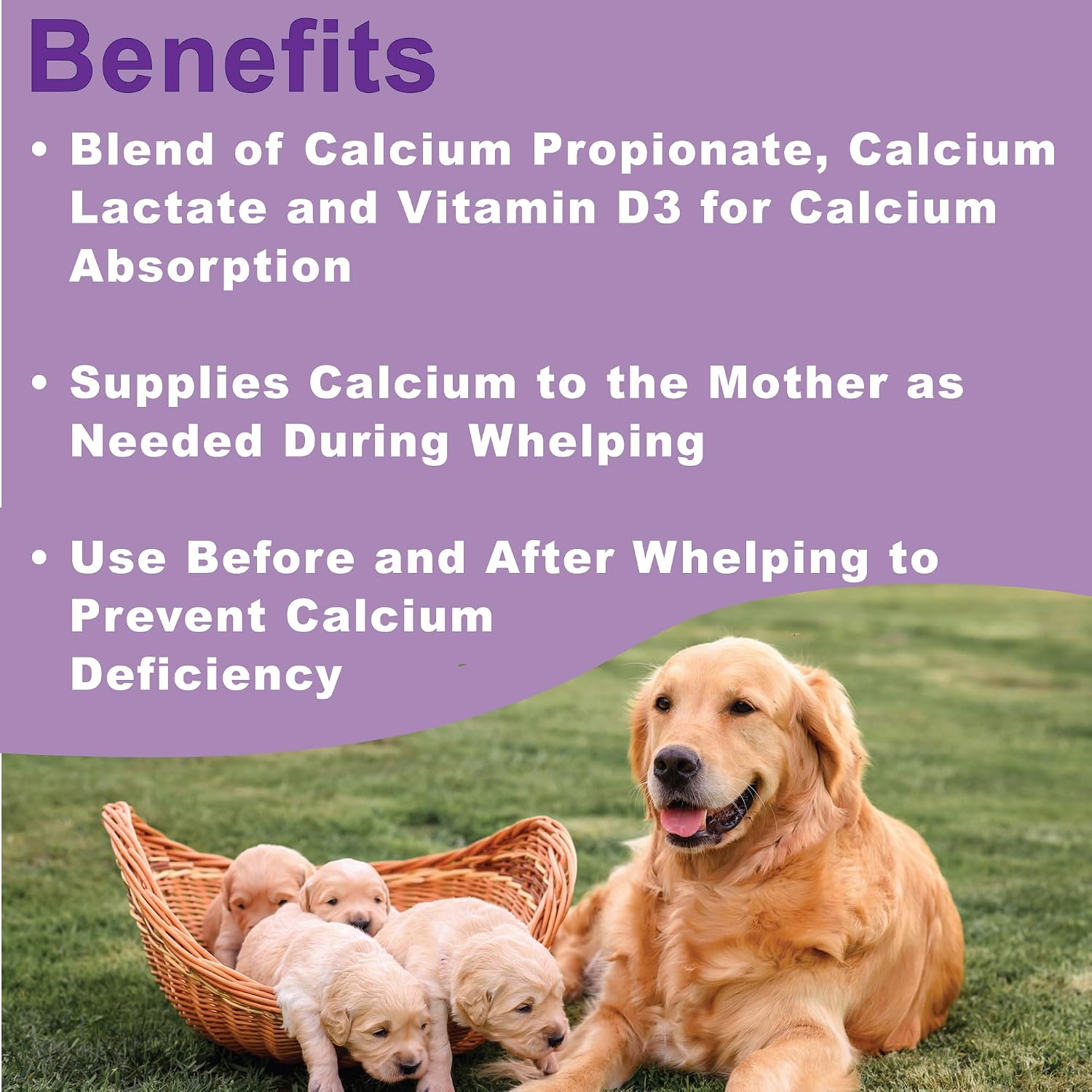 Canine Whelping Calcium Paste with Vitamin D3 - Dogzymes - görsel 2
