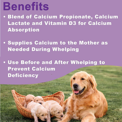 Canine Whelping Calcium Paste with Vitamin D3 - Dogzymes