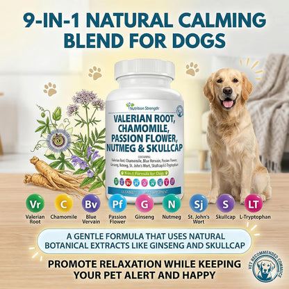 Nutrition Strength 9-in-1 Valerian Root for Dogs 200mg, Chamomile 160mg, Blue Vervain, Passion Flower, Ginseng, Nutmeg, St John's Wort, L-Tryptophan for Dog Stress Relief & Calming, 120 Tablets