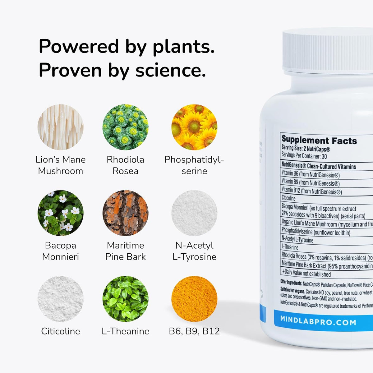 Mind Lab Pro® Universal Nootropic™ Brain Booster, 60 Capsules - görsel 8