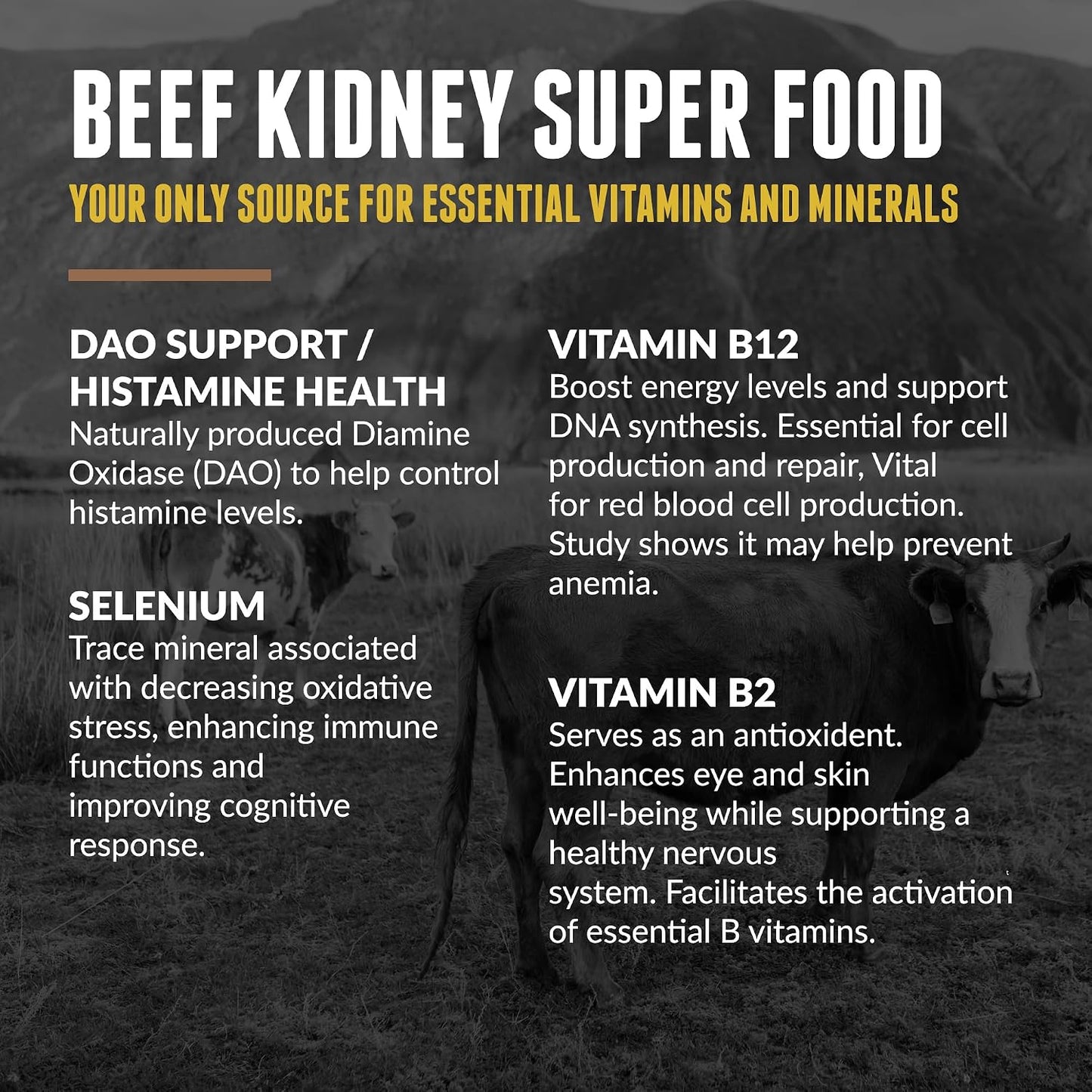 Grass-Fed Beef Kidney Supplement - 200 Capsules (3000mg per Serving) - New Zealand Sourced - görsel 5