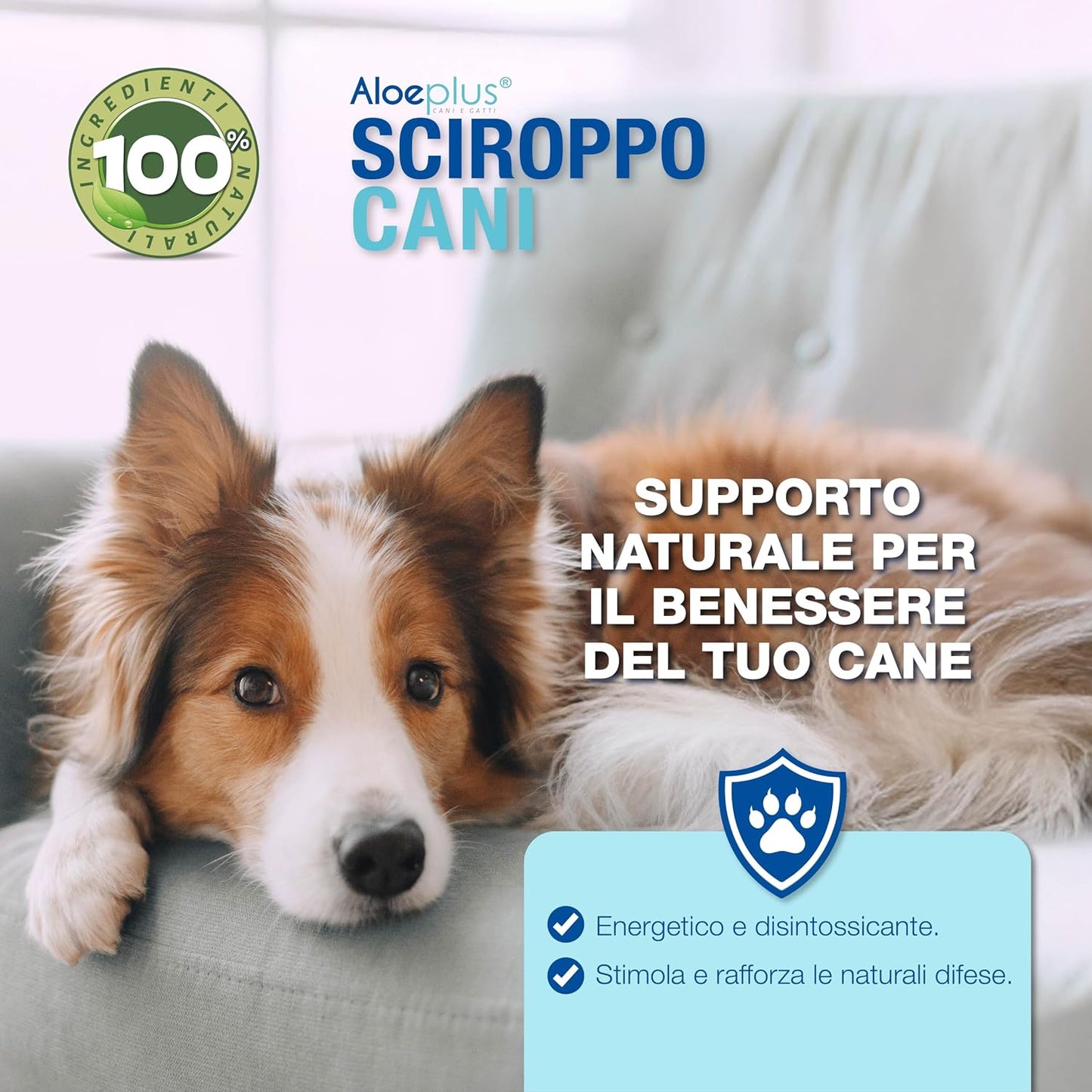 Aloeplus Dogs Syrup 250ml – Energy-Boosting, Detoxifying Complementary Food with Organic Aloe Arborescens - görsel 2