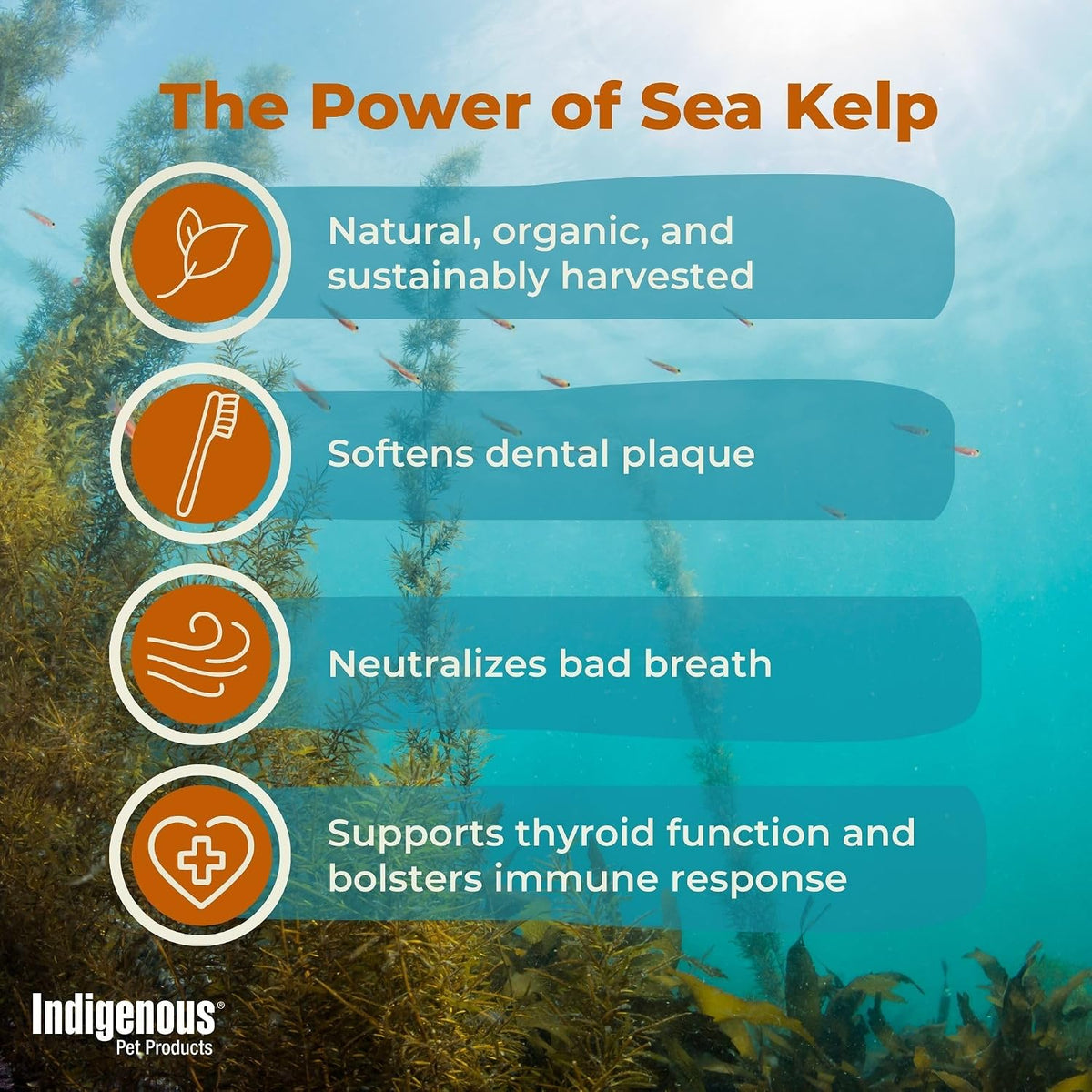 Indigenous Pet Organic Sea Kelp Flakes for Dogs – Natural Dental Care & Fresh Breath Support - görsel 3