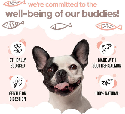 Buddycare Scottish Salmon Oil for Dogs and – Supports Immune Function: Essential fatty acids play a role in – Image 6