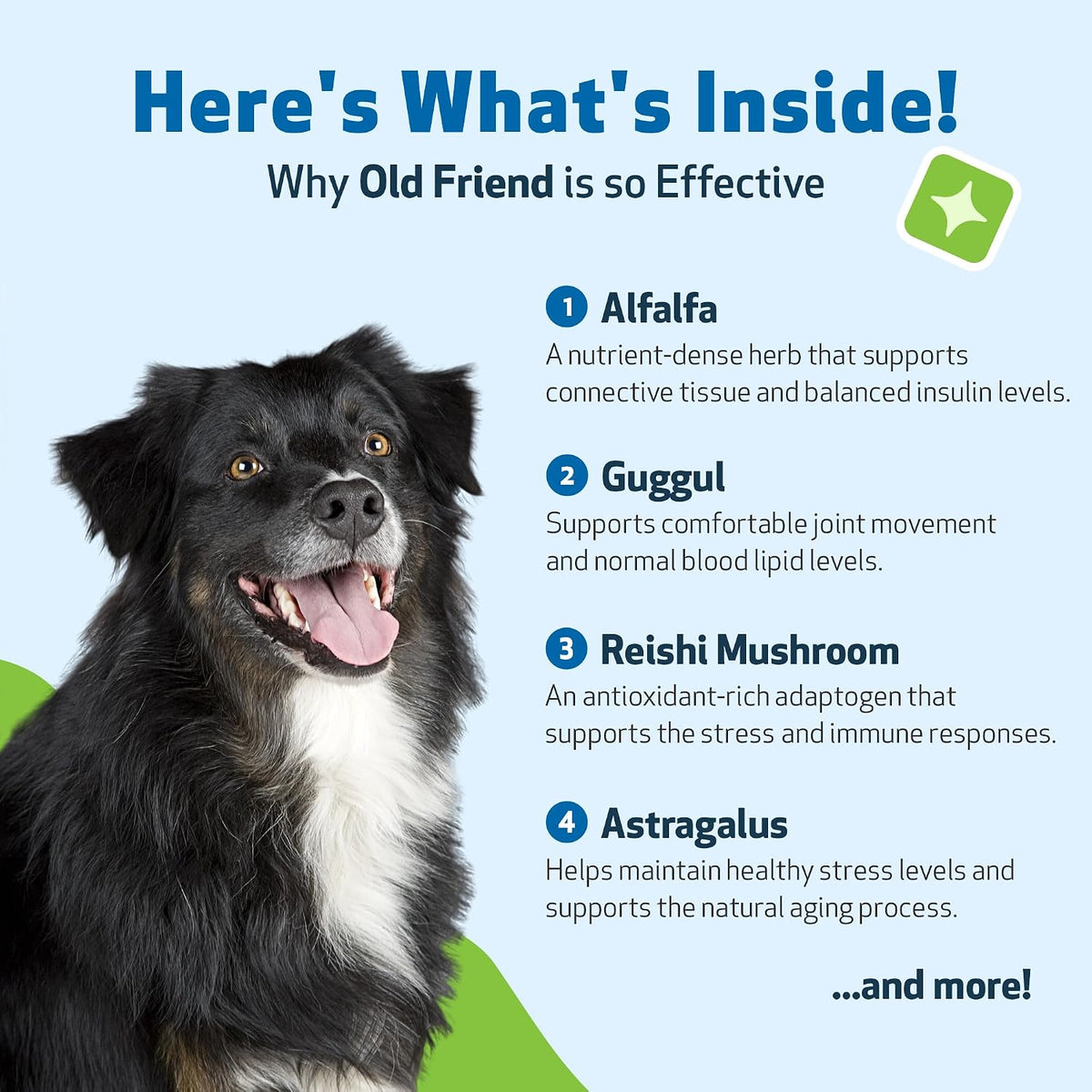 Pet Wellbeing Old Friend for Senior Dogs - Herbal Supplement for Immune, Joint, and Cognitive Support - 59 ml - görsel 3
