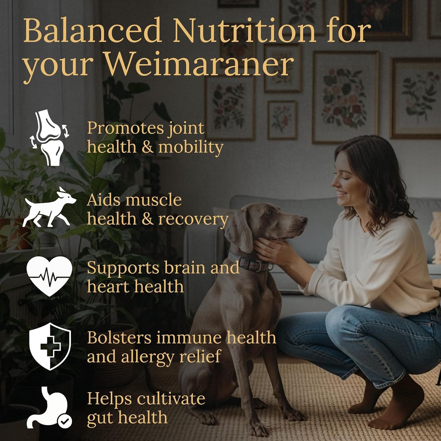 Prestige Breed Weimaraner Multivitamins, 90 Tablets, Made in the USA with Real Bacon Flavour - görsel 2