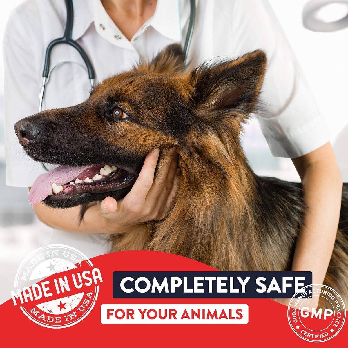 Geneflora Digestive Enzymes, Prebiotics & Probiotics for Dogs - görsel 4