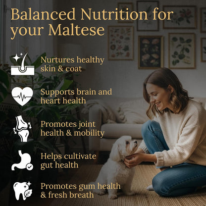 Prestige Breed Multivitamins for Maltese Dogs – Balanced Nutrition with Real Bacon Flavour, 90 Chews