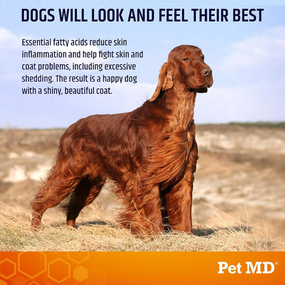 Pet MD Salmon Omega Bites for Dogs - Skin and Coat Supplement with Omega-3 and 6 and DHA and EPA - 60 Count