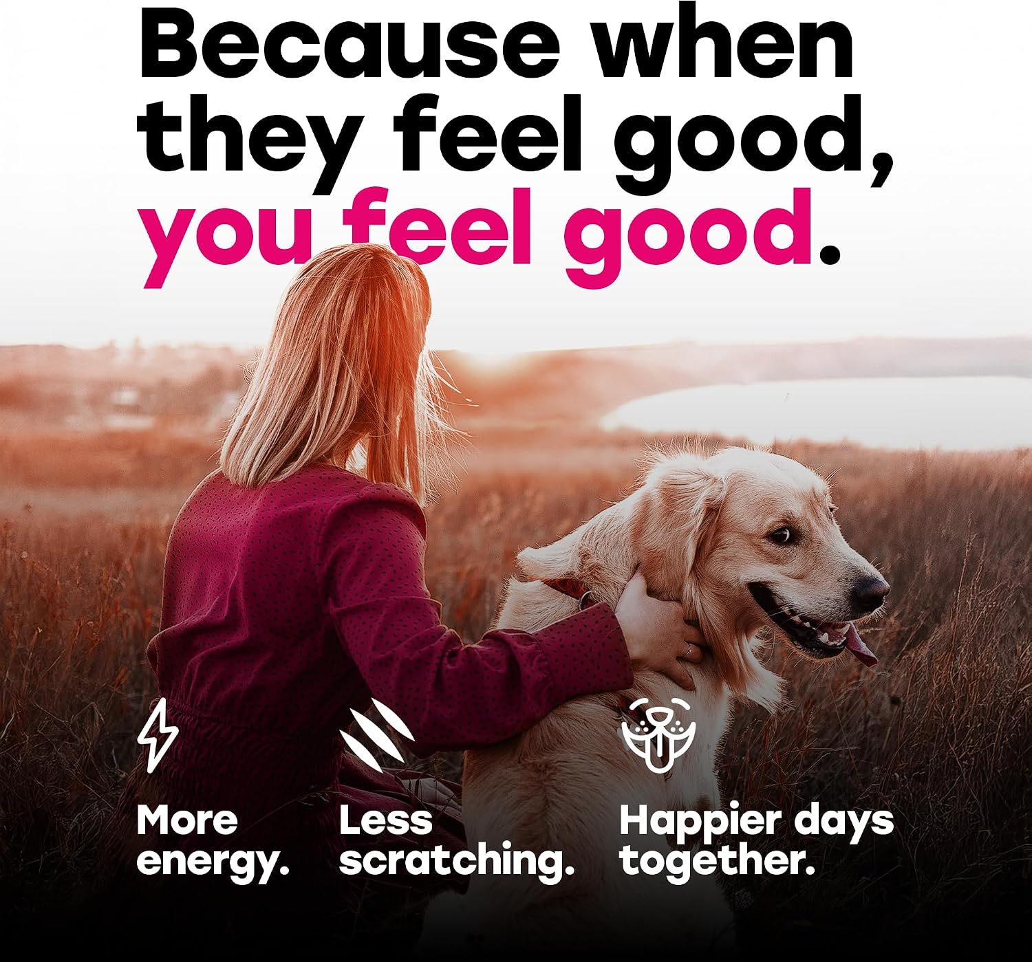 24-in-1 Dog Multivitamin Chews – Dog Vitamins & Supplements with Glucosamine, Chondroitin, Probiotics, Salmon Oil, Biotin – Daily Mobility, Digestion, Skin & Coat Support, Beef Flavour | 24-in-1 daily dog multivitamin, beef flavour, 140 soft chews - görsel 6